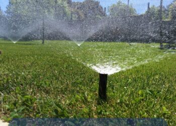 Түркістан қаласында көгалды егу және күту жұмыстары