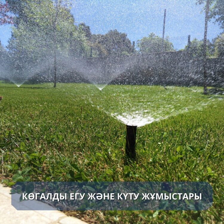 Түркістан қаласында көгалды егу және күту жұмыстары