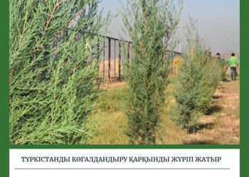 Түркістанды көгалдандыру қарқынды жүріп жатыр