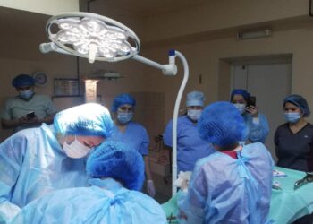 ТҮРКІСТАН: АКУШЕР-ГИНЕКОЛОГ ДӘРІГЕРЛЕР БІЛІКТІЛІКТЕРІН АРТТЫРДЫ