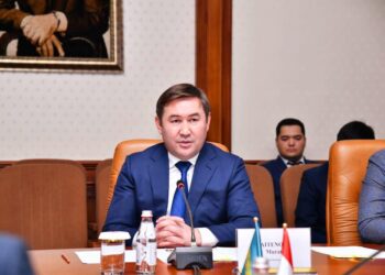 М.ӘЙТЕНОВ МАЖАРСТАН РЕСПУБЛИКАСЫНЫҢ ӨКІЛЕТТІ ЕЛШІСІМЕН КЕЗДЕСТІ