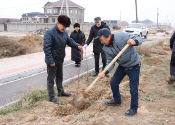 ҚАРАТАУ АУДАНЫ АУМАҒЫНА 10 000 АҒАШ КӨШЕТІ ОТЫРҒЫЗЫЛДЫ