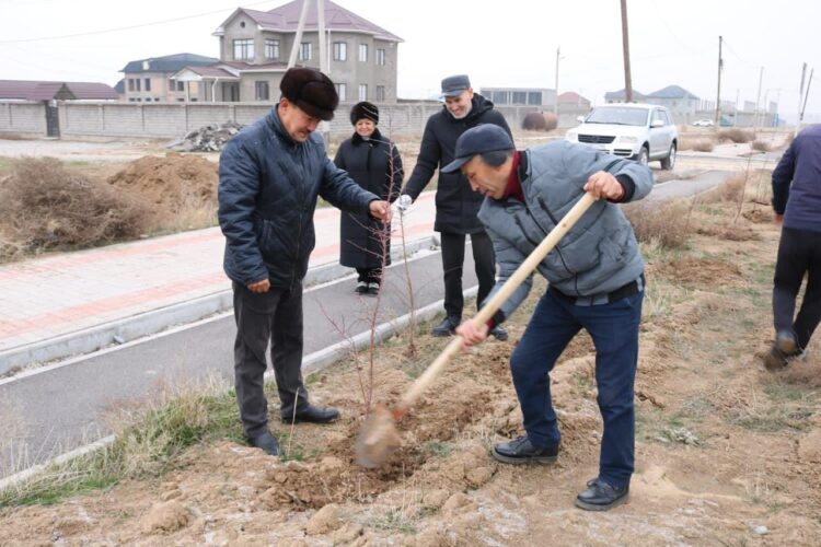 ҚАРАТАУ АУДАНЫ АУМАҒЫНА 10 000 АҒАШ КӨШЕТІ ОТЫРҒЫЗЫЛДЫ