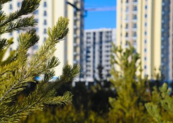 ТҮРКІСТАН ОБЛЫСЫНДА 203 МЫҢНАН АСА КҮЗДІК КӨШЕТ ОТЫРҒЫЗЫЛДЫ