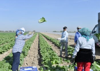 ТҮРКІСТАН ОБЛЫСЫНДА ӨНЕРКӘСІП ӨНІМІНІҢ КӨЛЕМІ АРТТЫ