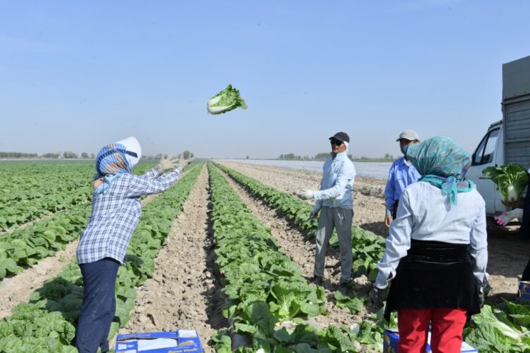 ТҮРКІСТАН ОБЛЫСЫНДА ӨНЕРКӘСІП ӨНІМІНІҢ КӨЛЕМІ АРТТЫ