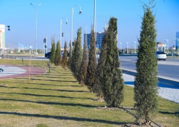 ОБЛЫС ӘКІМІ ДАРХАН САТЫБАЛДЫ КӨКТЕМГІ АҒАШ ЕГУ НАУҚАНЫНЫҢ БАРЫСЫН БАҚЫЛАДЫ