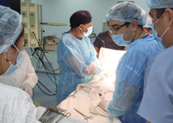 ТҮРКІСТАН: БАЛАЛАРҒА КҮРДЕЛІ ОТАЛАР СӘТТІ ЖАСАЛДЫ