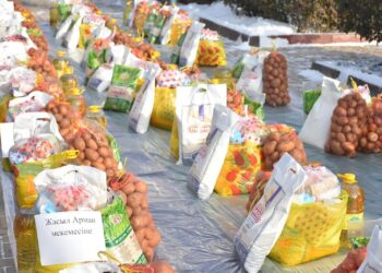 ТҮРКІСТАНДА 100 ОТБАСЫҒА АЗЫҚ-ТҮЛІКТЕР ҮЛЕСТІРІЛДІ