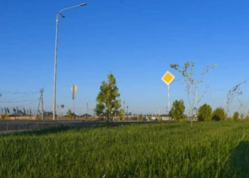 «Жасыл Қазақстан» жобасы нәтижелі болуда