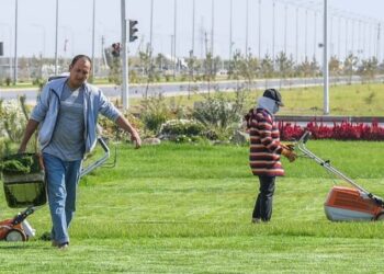 Түркістанның айналасы жасыл желекке айналады