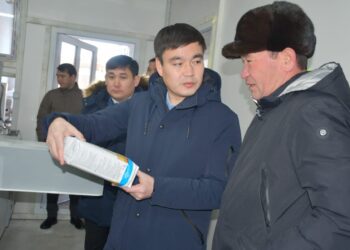 ORDABASY: НАННАН ҮЛКЕН АС ЖОҚ