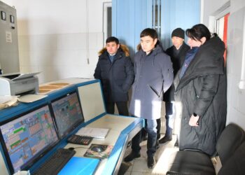 ORDABASY: КҮРКЕТАУЫҚ ТҰҚЫМЫ ФРАНЦИЯДАН ӘКЕЛІНГЕН