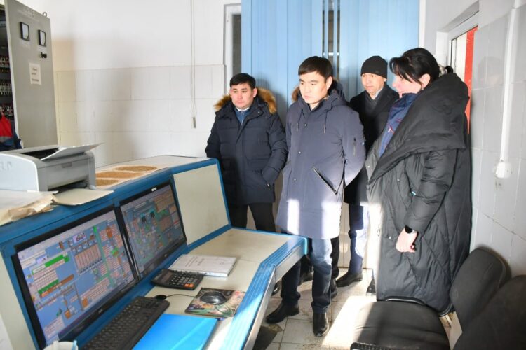 ORDABASY: КҮРКЕТАУЫҚ ТҰҚЫМЫ ФРАНЦИЯДАН ӘКЕЛІНГЕН