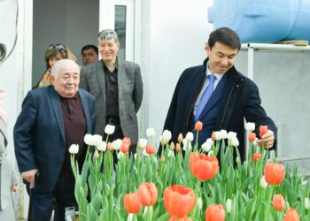 ТҮРКІСТАНДА ОТАНДЫҚ ҒАЛЫМДАР ӨСІРГЕН ҚЫЗҒАЛДАҚТАР ГҮЛДЕДІ