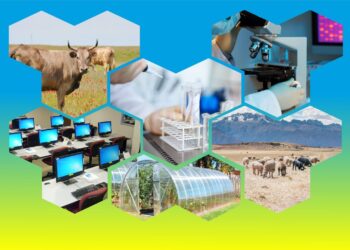 САУРАН: АУДАН ТҰРҒЫНДАРЫНА ТҰРАҚТЫ ҚЫЗМЕТ ОРЫНДАРЫ АШЫЛМАҚ