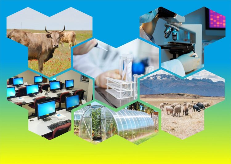 САУРАН: АУДАН ТҰРҒЫНДАРЫНА ТҰРАҚТЫ ҚЫЗМЕТ ОРЫНДАРЫ АШЫЛМАҚ