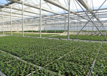 СЕРІК ЖҰМАНҒАРИН ТҮРКІСТАН ОБЛЫСЫНЫҢ ЖЫЛЫЖАЙ ИЕЛЕРІМЕН КЕЗДЕСТІ