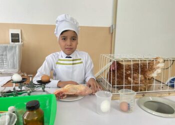 КЕЛЕСТІК ОҚУШЫ ФАСТФУД ТАҒАМДАРЫНА АРНАЛҒАН ТАУЫҚ ЕТІН ӨНДІРГІСІ КЕЛЕДІ