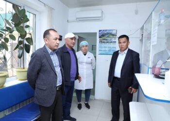 ТҮРКІСТАН: САРЫАҒАШТА МЕМЛЕКЕТТІК БАҒДАРЛАМАМЕН КӘСІП АШҚАНДАР КӨБЕЙІП КЕЛЕДІ