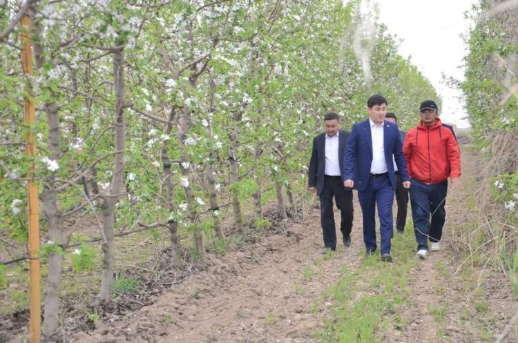 ТҮРКІСТАН: ЖЕТІСАЙ ТҰРҒЫНЫ ИТАЛИЯНДЫҚ ӘДІСПЕН ӨНІМ КӨЛЕМІН АРТТЫРЫП КЕЛЕДІ