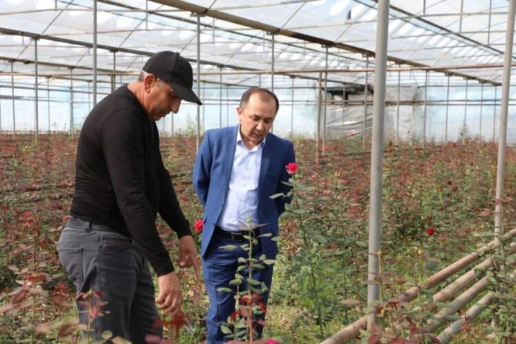 ТҮРКІСТАН: САРЫАҒАШ АУДАНЫНДА ЖЫЛЫЖАЙ ШАРУАШЫЛЫҒЫ ҚАРҚЫНДЫ ДАМЫП КЕЛЕДІ