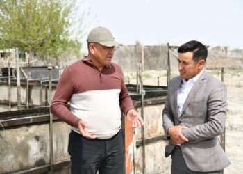 ТҮРКІСТАН: ОТЫРАРЛЫҚ ҚАЙЫРЫМДЫ АЗАМАТ КӨПБАЛАЛЫ АНАҒА 6 БӨЛМЕЛІ ҮЙ САЛЫП ЖАТЫР