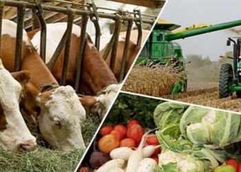 ТҮРКІСТАН ОБЛЫСЫНДА «АУЫЛ АМАНАТЫ» ЖОБАСЫНА ҚЫЗЫҒУШЫЛЫҚ ЖОҒАРЫ