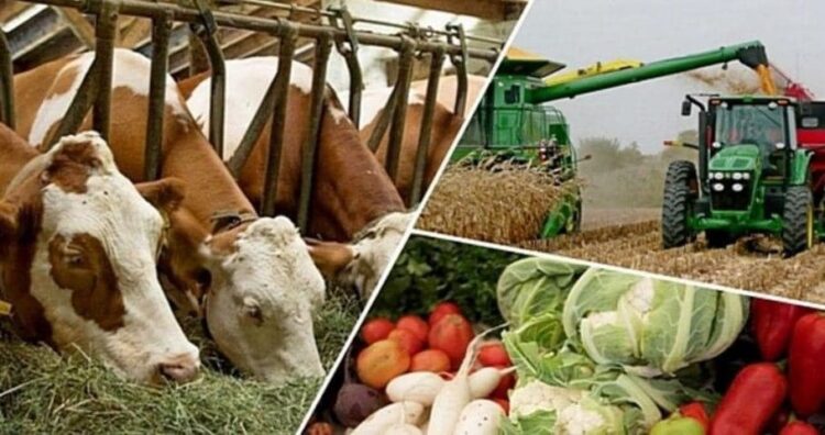 ТҮРКІСТАН ОБЛЫСЫНДА «АУЫЛ АМАНАТЫ» ЖОБАСЫНА ҚЫЗЫҒУШЫЛЫҚ ЖОҒАРЫ