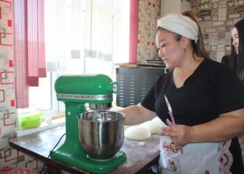 ТҮРКІСТАН ОБЛЫСЫНДА «ТАБЫСТЫ ОТБАСЫ» ЖОБАСЫНЫҢ ТҮЛЕКТЕРІ КӘСІПТЕРІН ДӨҢГЕЛЕТІП ОТЫР