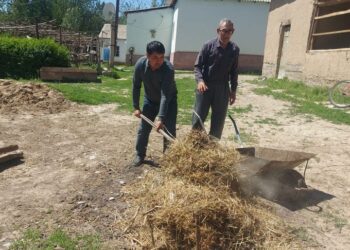 Бәйдібекте «Қарттарым аман сау жүрші!» атты он күндік іс-шарасы өтті