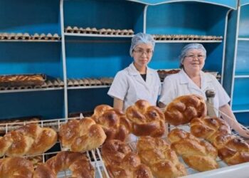 ТҮРКІСТАН: МЕМЛЕКЕТТІК ГРАНТПЕН КӘСІБІН ДАМЫТҚАНДАР АРТЫП КЕЛЕДІ