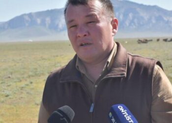 ТҮРКІСТАН: СОЗАҚТЫҚ ШАРУА МЕМЛЕКЕТТІК БАҒДАРЛАМА КӨМЕГІМЕН ҚОЙ БАСЫН КӨБЕЙТІП ОТЫР