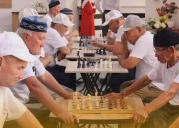 ТҮРКІСТАН: ШАХМАТТАН МҮМКІНДІГІ ШЕКТЕУЛІ ЖАНДАР МЕН ЗЕЙНЕТКЕРЛЕР АРАСЫНДА АУДАНАРАЛЫҚ ЖАРЫС ӨТТІ