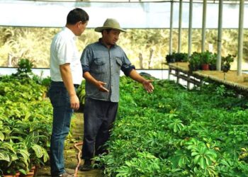 ТҮРКІСТАН: ЖЕТІСАЙЛЫҚ ЖІГІТТЕР ГҮЛ ӨСІРІП, МИЛЛИОНЕР АТАНЫП ОТЫР