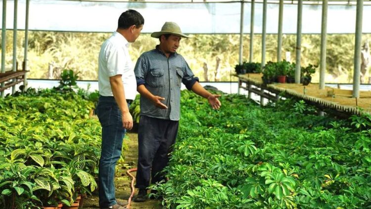 ТҮРКІСТАН: ЖЕТІСАЙЛЫҚ ЖІГІТТЕР ГҮЛ ӨСІРІП, МИЛЛИОНЕР АТАНЫП ОТЫР