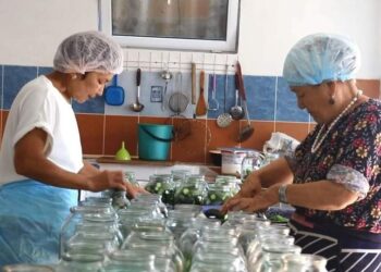 ТҮЛКІБАСТЫҚ КӘСІПКЕР ТӘУЛІГІНЕ 200 БАНКА КӨКӨНІС КОНСЕРВІЛЕП, САТЫЛЫМҒА ШЫҒАРАДЫ