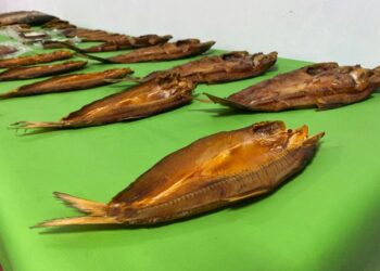 ТҮРКІСТАН: КЕЛЕСТЕГІ ШАРУА ҚОЖАЛЫҚ ЖЫЛЫНА 400 ТОННА БАЛЫҚ ӨНДІРМЕК