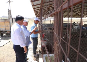 БІР ЕМЕС БІРНЕШЕ ШАРУАШЫЛЫҚТЫҢ БАСЫН БІРІКТІРГЕН АУЫЛ ТҰРҒЫНЫ
