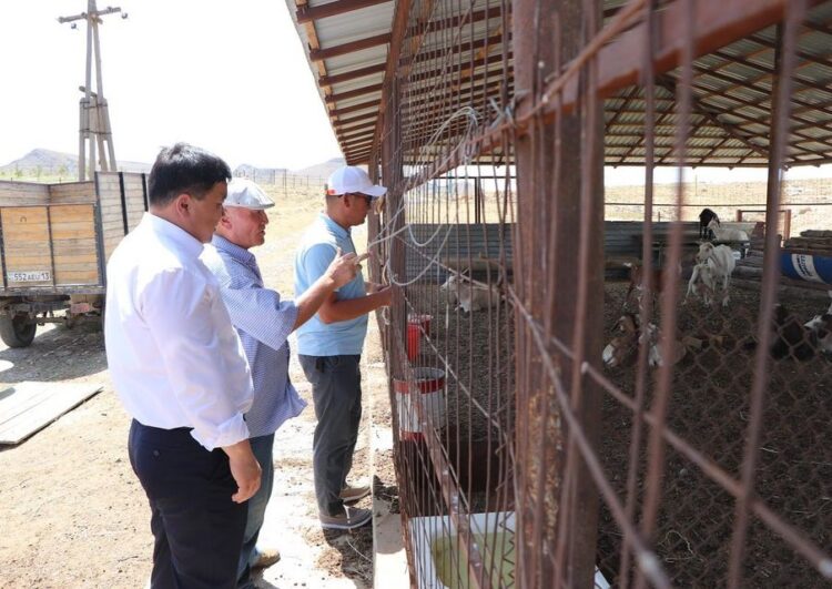 БІР ЕМЕС БІРНЕШЕ ШАРУАШЫЛЫҚТЫҢ БАСЫН БІРІКТІРГЕН АУЫЛ ТҰРҒЫНЫ