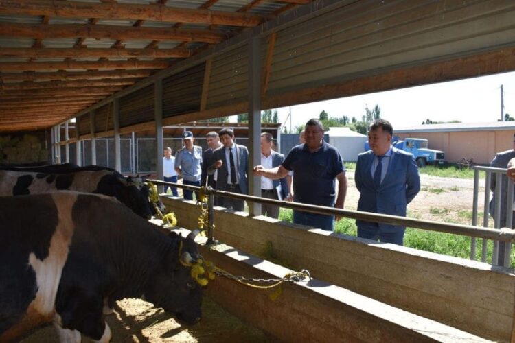 СОЗАҚ: “БАЛТАБАЙ” ШАРУА ҚОЖАЛЫҒЫНДА 26 АДАМ ЖҰМЫС ІСТЕЙДІ