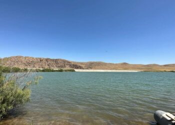 ТҮРКІСТАН: СОЗАҚТАҒЫ ШАРУАШЫЛЫҚ БИЫЛ 180 ТОННА КӨЛЕМІНДЕ БАЛЫҚ ӨНІМІН ШЫҒАРДЫ