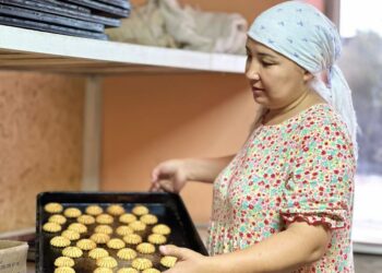 ТҮРКІСТАН: КӨПБАЛАЛЫ АНАЛАР ДА КӘСІБІН ДӨҢГЕЛЕТЕ АЛАДЫ