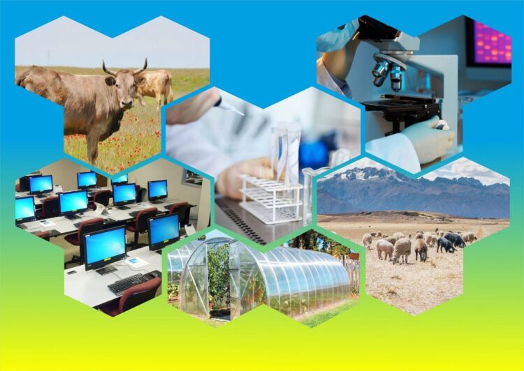 ХАЛЫҚТЫҢ ТАБЫСЫН АРТТЫРУ БАҒДАРЛАМАСЫ ЖҮЙЕЛІ ЖҮЗЕГЕ АСЫП КЕЛЕДІ