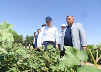 ДАРХАН САТЫБАЛДЫ «АУЫЛ АМАНАТЫНЫҢ» МҮМКІНДІКТЕРІН ПАЙДАЛАНУҒА ШАҚЫРДЫ