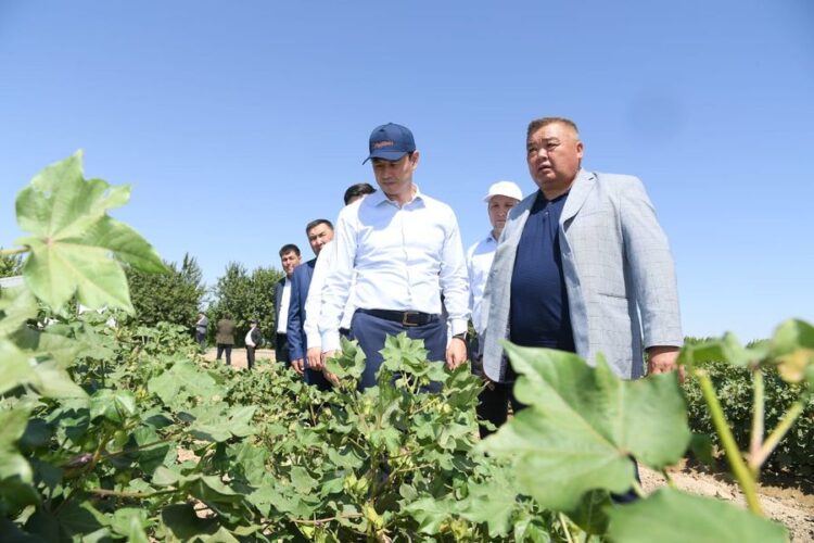 ДАРХАН САТЫБАЛДЫ «АУЫЛ АМАНАТЫНЫҢ» МҮМКІНДІКТЕРІН ПАЙДАЛАНУҒА ШАҚЫРДЫ