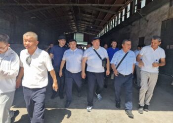 ТҮРКІСТАН: АУДАН ӘКІМДЕРІ КӘСІПКЕРЛІКТІ ЖАНДАНДЫРУ МАҚСАТЫНДА ӨЗБЕКСТАННЫҢ КӘСІПОРЫНДАРЫНА БАРДЫ