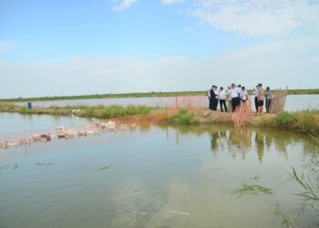 ТҮРКІСТАН: ЖЕТІСАЙДА БАЛЫҚ ШАРУАШЫЛЫҒЫ ДАМЫП КЕЛЕДІ