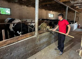 ТҮРКІСТАН: САЙРАМДА МЕМЛЕКЕТТІК ГРАНТ ИЕГЕРЛЕРІ КӘСІБІН ЖАНДАНДЫРУДА