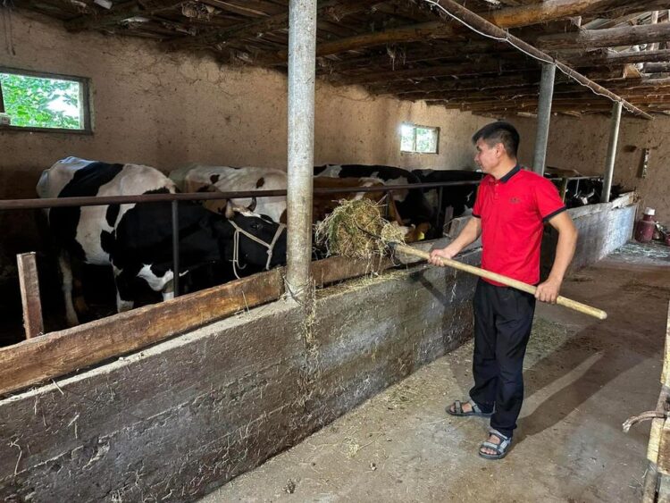 ТҮРКІСТАН: САЙРАМДА МЕМЛЕКЕТТІК ГРАНТ ИЕГЕРЛЕРІ КӘСІБІН ЖАНДАНДЫРУДА